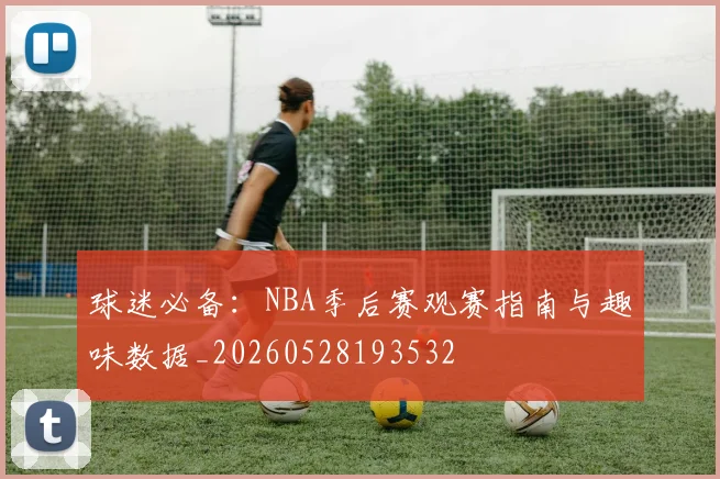 球迷必备：NBA季后赛观赛指南与趣味数据_20260528193532