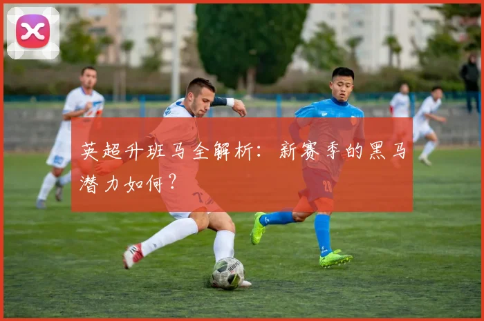 英超升班马全解析：新赛季的黑马潜力如何？