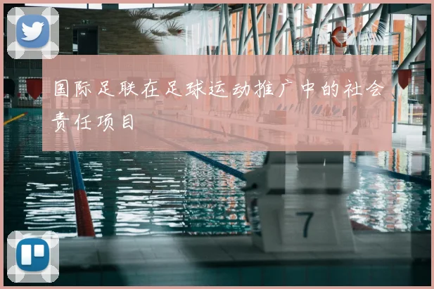 国际足联在足球运动推广中的社会责任项目