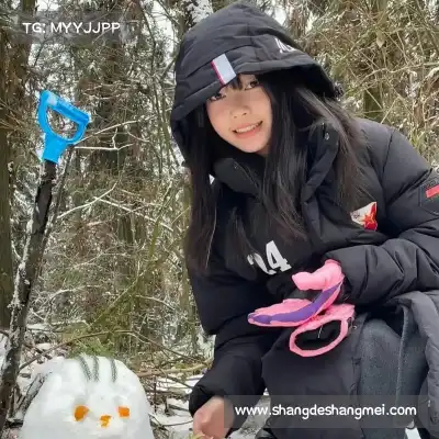 梅鹃仪